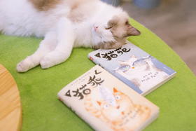 《猫苑猫乘》 | 中国人吸猫宝典 带你看透猫的808个小秘密，赠送精美猫猫形状书签和贴纸
