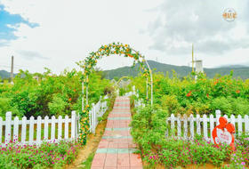 深圳慢姑娘林公馆别墅轰趴