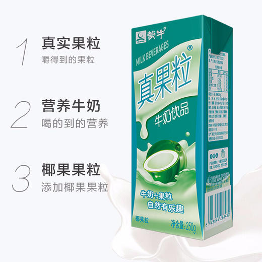 真果粒椰果粒250g×12盒 商品图1