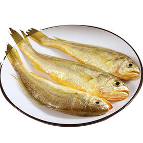 🐟舟山 · 纯野生 · 小黄鱼，深海捕捞，肉质鲜嫩，营养丰富，口感好