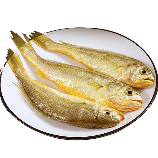 🐟舟山 · 纯野生 · 小黄鱼，深海捕捞，肉质鲜嫩，营养丰富，口感好 商品图0