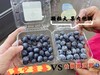 周日取货：【怡颗莓蓝莓】护眼神器！甜蜜无酸！果粉超足，蓝莓香味超浓！ 商品缩略图4