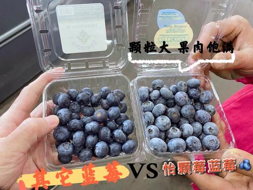 周日取货：【怡颗莓蓝莓】护眼神器！甜蜜无酸！果粉超足，蓝莓香味超浓！ 商品图4