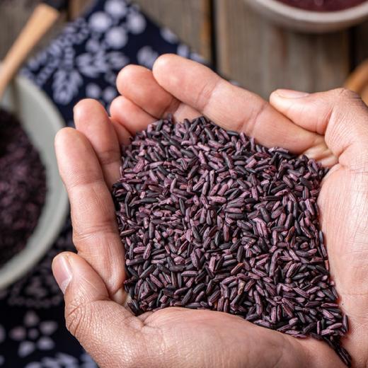 云南墨江正宗老品种梯田紫米 2斤 商品图0