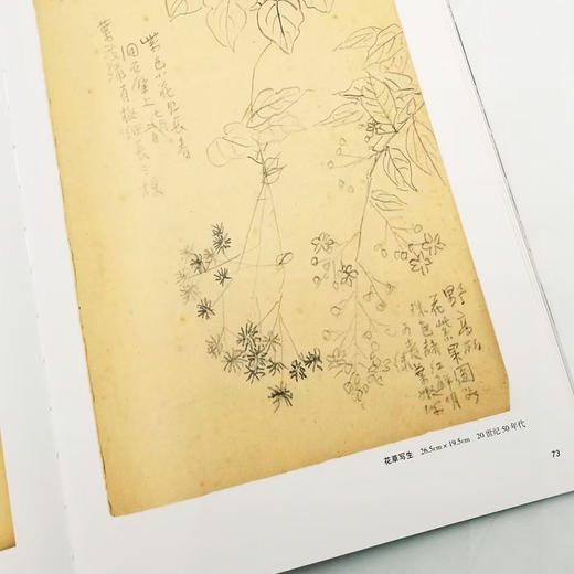 【潘天寿三种】《童中熹解读潘天寿》《雁荡山花：潘天寿写生研究》《潘天寿绘画作品解析》童中熹、陈永怡等著 16开彩版 商品图5