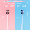 【限时折扣】舒客软刷毛细毛宽头高密旋洁舒适清洁牙刷 2支特惠装-颜色随机发 商品缩略图2