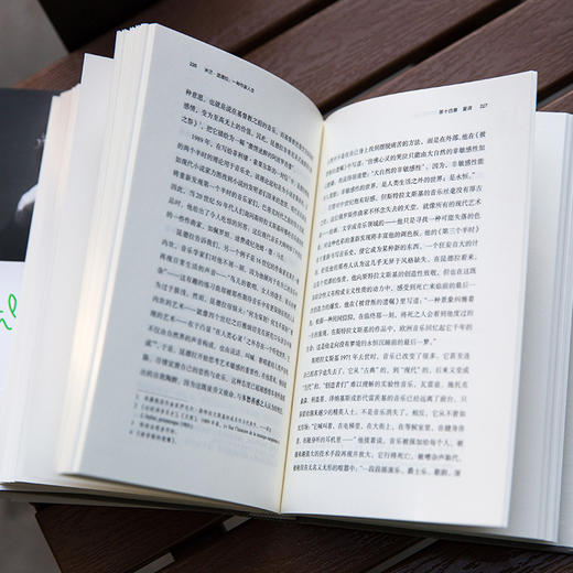 米兰·昆德拉：一种作家人生 商品图9