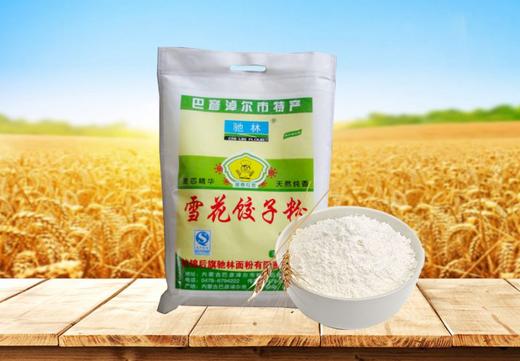 巴盟 驰林 雪花饺子粉10kg 商品图1