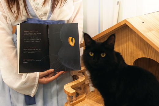 《猫苑猫乘》 | 中国人吸猫宝典 带你看透猫的808个小秘密，赠送精美猫猫形状书签和贴纸 商品图3