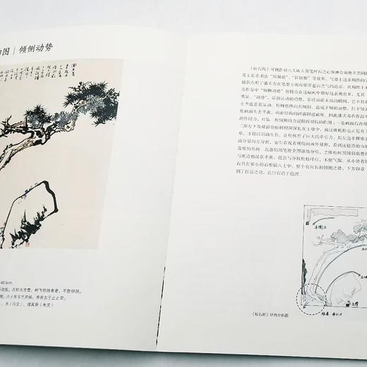 【潘天寿三种】《童中熹解读潘天寿》《雁荡山花：潘天寿写生研究》《潘天寿绘画作品解析》童中熹、陈永怡等著 16开彩版 商品图7