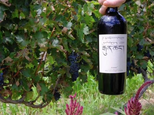 高原风土，酒师精酿，金奖高山扎西干红葡萄酒750ml，买大扎西送小扎西！ 商品图3