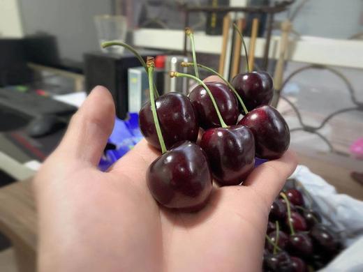 #澳洲*空运特级*塔斯马尼亚#全球公认的车厘子王者科迪亚，车厘子季在此圆满！ 商品图1