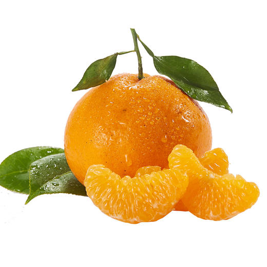 【春见耙耙柑】春见耙耙柑 四川眉山耙耙柑 现摘现发 手剥柑橘 丑柑 商品图8