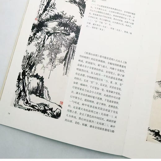 【潘天寿三种】《童中熹解读潘天寿》《雁荡山花：潘天寿写生研究》《潘天寿绘画作品解析》童中熹、陈永怡等著 16开彩版 商品图6