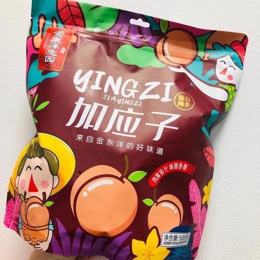 金东洋 加应子/包 4897061533273 1*20 商品图0