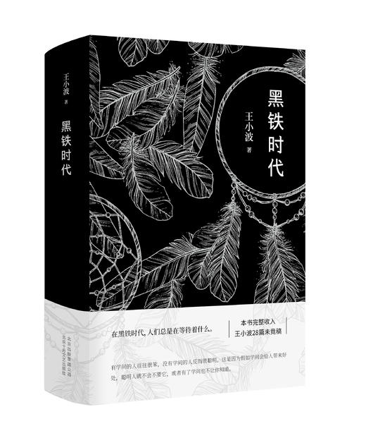 送王小波作品集（插图珍藏本全5册）| 中读VIP年卡 商品图4