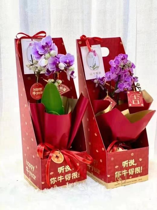 听说你牛的很手提花盒（5个/包）15*15*45cm 商品图6