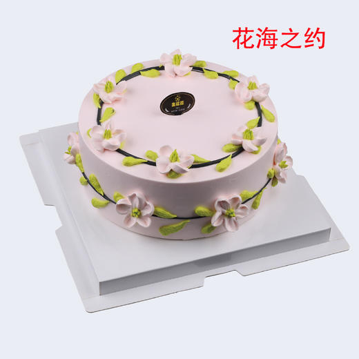 【8英寸】多选一 韩式系列 商品图4