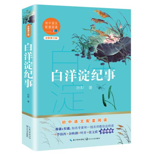 白洋淀纪事 全新修订版 商品图0