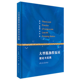 大型低扬程泵站理论与实践