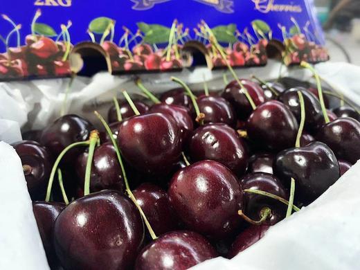 #澳洲*空运特级*塔斯马尼亚#全球公认的车厘子王者科迪亚，车厘子季在此圆满！ 商品图3