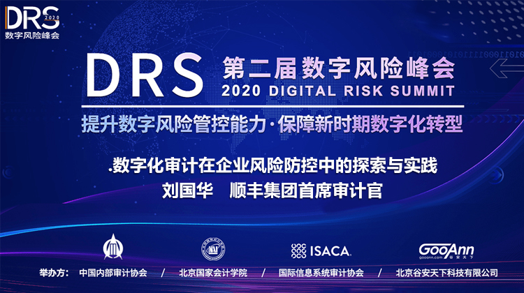 14数字化审计在企业风险防控中的探索与实践-刘国华