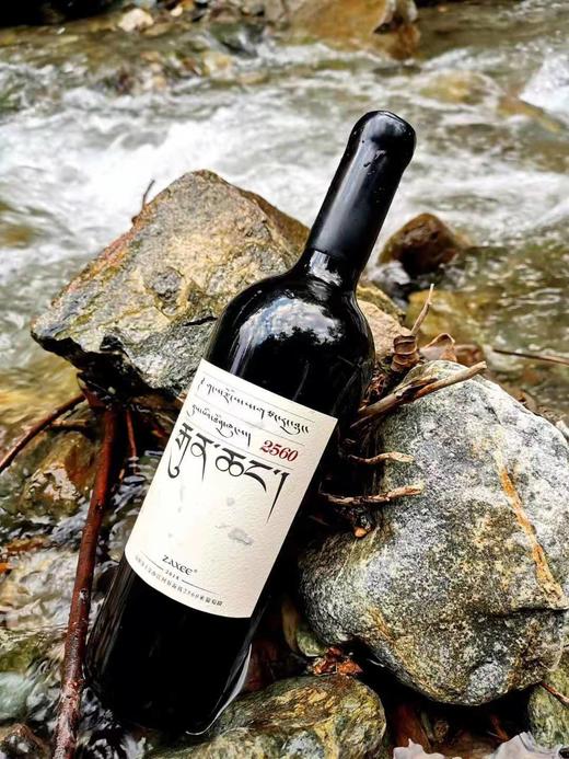 高原风土，酒师精酿，金奖高山扎西干红葡萄酒750ml，买大扎西送小扎西！ 商品图1