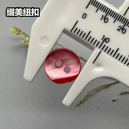 双平二眼鞠灰贝(整包购买) 商品图8