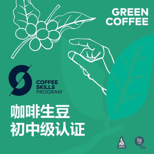 云南-SCA咖啡生豆初中级国际认证 商品图0