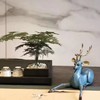 朝-99版-王大朋 商品缩略图1