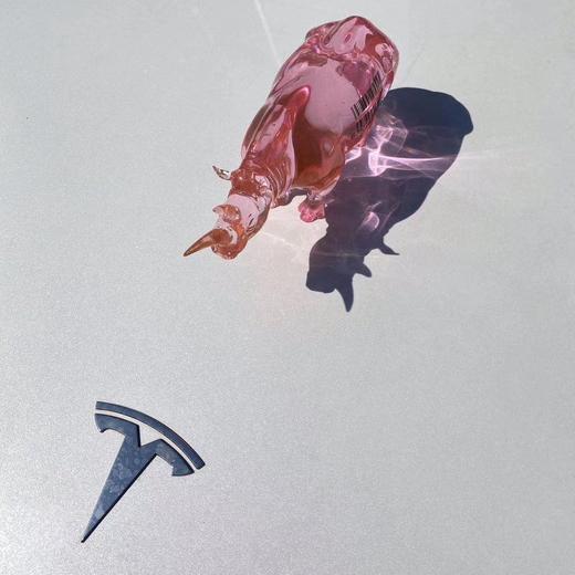 Pink rinino-粉犀牛 商品图1