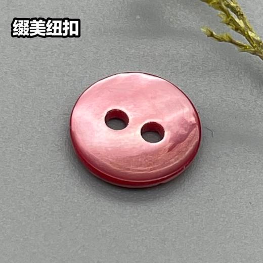 双平二眼鞠灰贝(整包购买) 商品图5