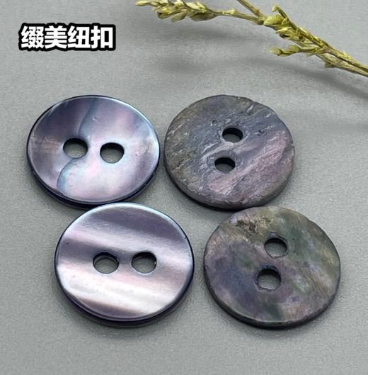 双平二眼鞠灰贝(整包购买) 商品图3