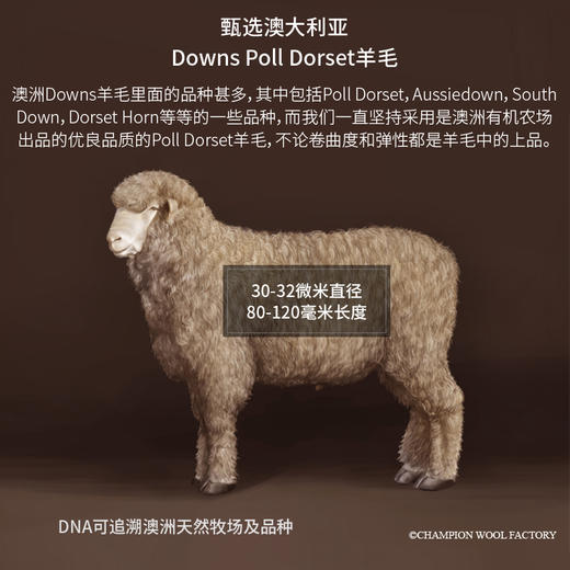 AusGoldEN澳洲制造骑士羊毛冬被 商品图1