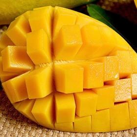 海南老树金煌芒 5/8斤装