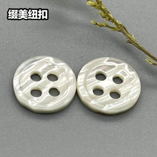 细边塔螺贝壳(整包购买) 商品图1