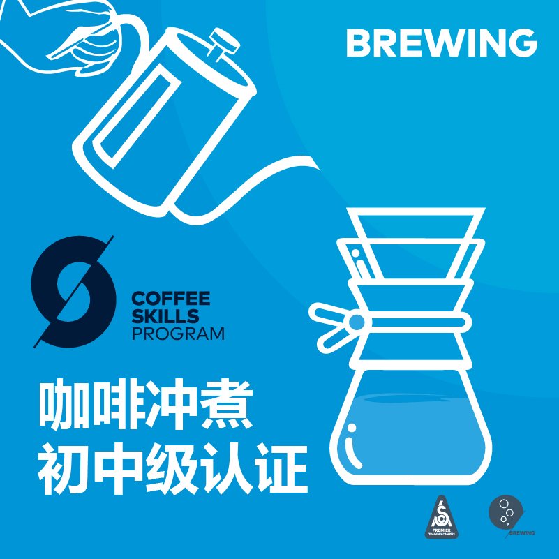 北京-SCA咖啡研磨与冲煮初中级认证课程