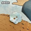 花型二眼马氏贝(整包购买) 商品缩略图2