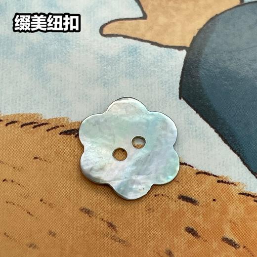 花型二眼马氏贝(整包购买) 商品图2