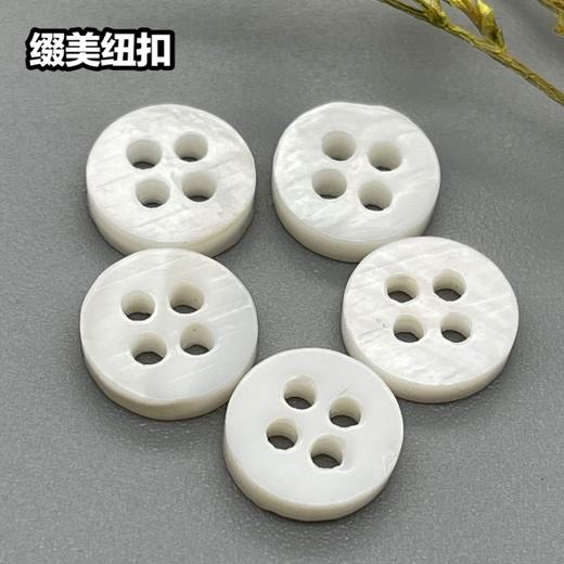 双平河贝(整包购买) 商品图5