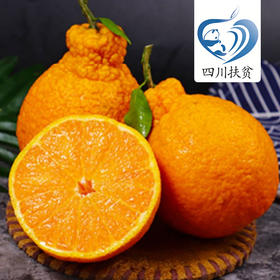 四川仪陇穗庆元帅丑柑【朱德故里】10斤