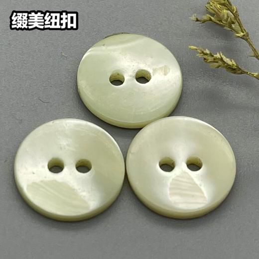 塔螺贝壳(整包购买) 商品图3