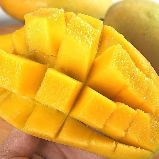 海南老树金煌芒 5/8斤装 商品图3