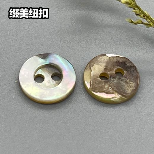 宽边二眼马氏贝(整包购买) 商品图3