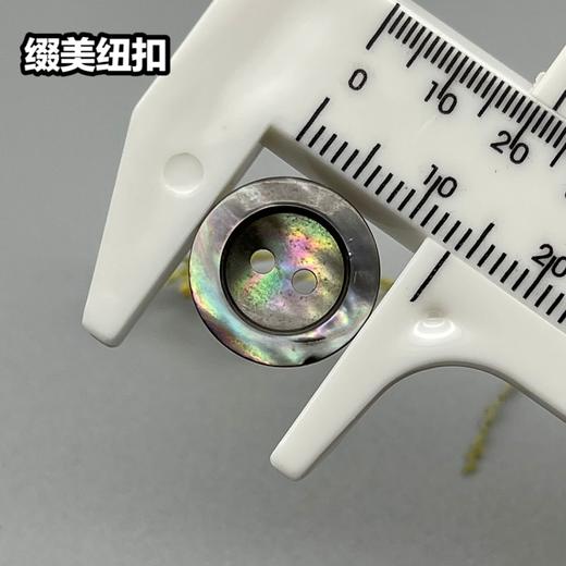 宽边二眼黑蝶(整包购买) 商品图6