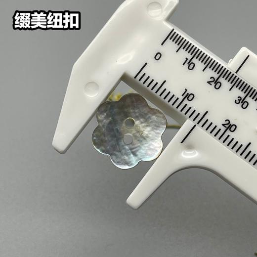 花型二眼马氏贝(整包购买) 商品图4