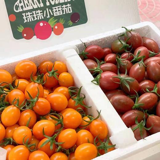 业主福利~【福建双拼小番茄】约3斤，珠珠和紫葡萄小番茄双拼，颗颗爆浆 商品图3