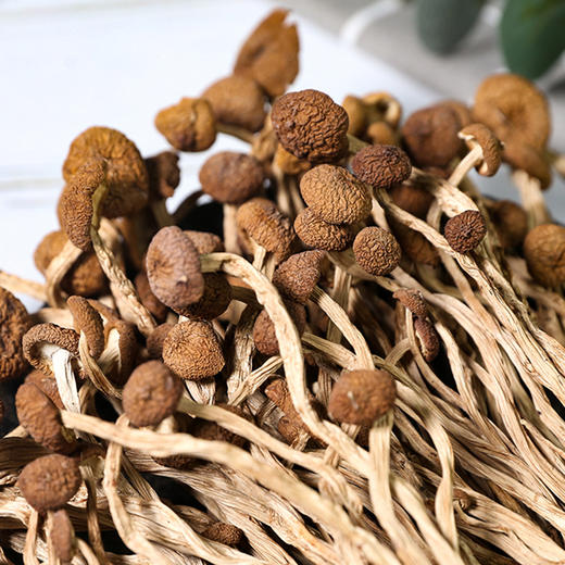 【宜昌助农馆】 森源茶树菇180g/罐 商品图2