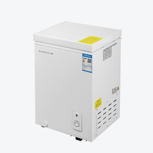 小鸭120升可调温节能冰柜 商品图0