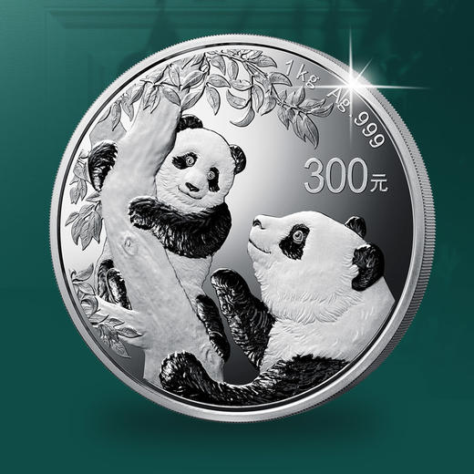 2021年熊猫1公斤精制银币 商品图2
